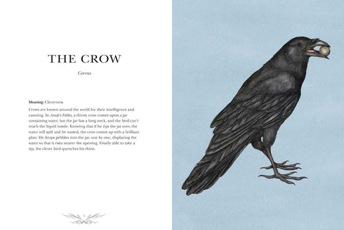 ORNITHOGRAPHY: AN ILLUSTRATED GUIDE TO BIRD LORE & SYMBOLISM - ROUX. JESSICA