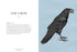 ORNITHOGRAPHY: AN ILLUSTRATED GUIDE TO BIRD LORE & SYMBOLISM - ROUX. JESSICA