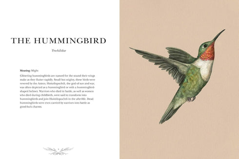 ORNITHOGRAPHY: AN ILLUSTRATED GUIDE TO BIRD LORE & SYMBOLISM - ROUX. JESSICA