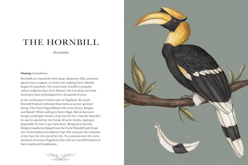 ORNITHOGRAPHY: AN ILLUSTRATED GUIDE TO BIRD LORE & SYMBOLISM - ROUX. JESSICA