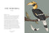ORNITHOGRAPHY: AN ILLUSTRATED GUIDE TO BIRD LORE & SYMBOLISM - ROUX. JESSICA