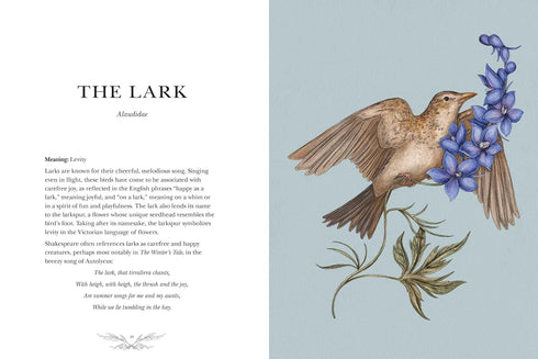 ORNITHOGRAPHY: AN ILLUSTRATED GUIDE TO BIRD LORE & SYMBOLISM - ROUX. JESSICA