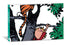 CALVIN AND HOBBES PORTABLE COMPENDIUM SET 5 - WATTERSON. BILL