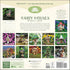 FAIRY HOUSES 2025 WALL CALENDAR
