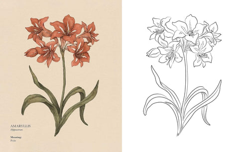 FLOROGRAPHY COLORING BOOK - ROUX. JESSICA