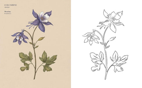 FLOROGRAPHY COLORING BOOK - ROUX. JESSICA