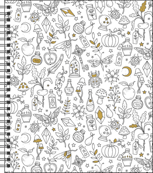 JOHANNA BASFORD 12-MONTH 2026 WEEKLY COLORING CALENDAR