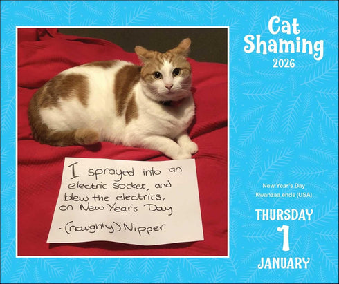 CAT SHAMING 2026 DAY-TO-DAY CALENDAR