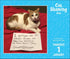 CAT SHAMING 2026 DAY-TO-DAY CALENDAR