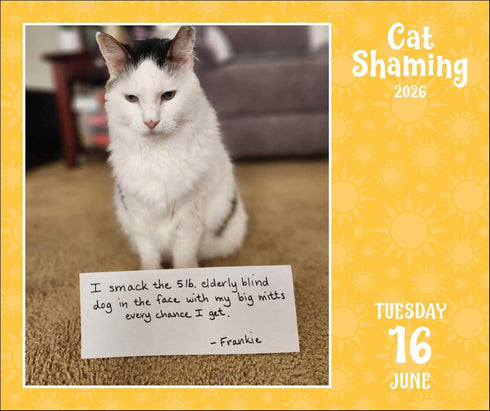 CAT SHAMING 2026 DAY-TO-DAY CALENDAR