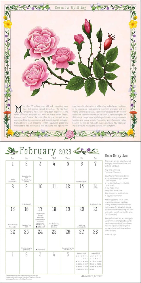 KITCHEN WITCH 2026 WALL CALENDAR