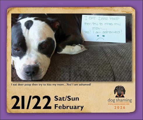 DOG SHAMING 2026 DAY-TO-DAY CALENDAR