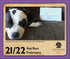 DOG SHAMING 2026 DAY-TO-DAY CALENDAR