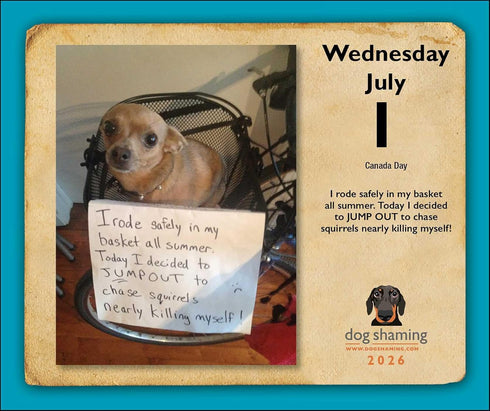 DOG SHAMING 2026 DAY-TO-DAY CALENDAR