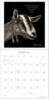I AM GOAT 2026 WALL CALENDAR