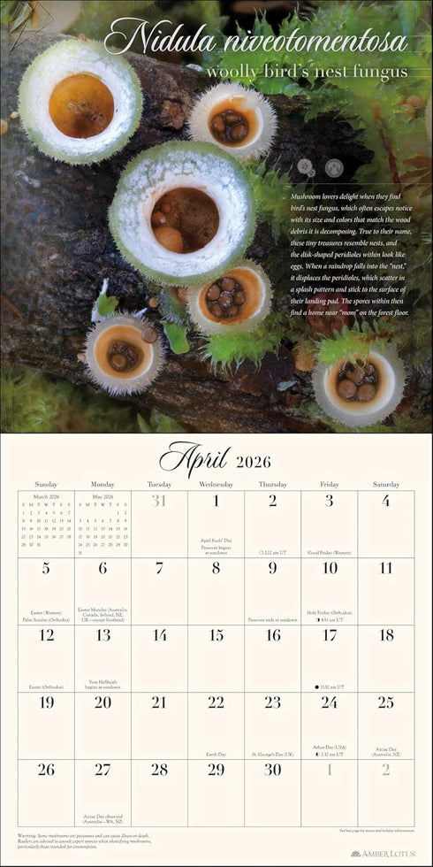 MIRACULOUS MUSHROOM 2026 WALL CALENDAR