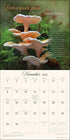 MIRACULOUS MUSHROOM 2026 WALL CALENDAR