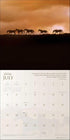 SPIRIT HORSES 2026 WALL CALENDAR BY TONY STROMBERG