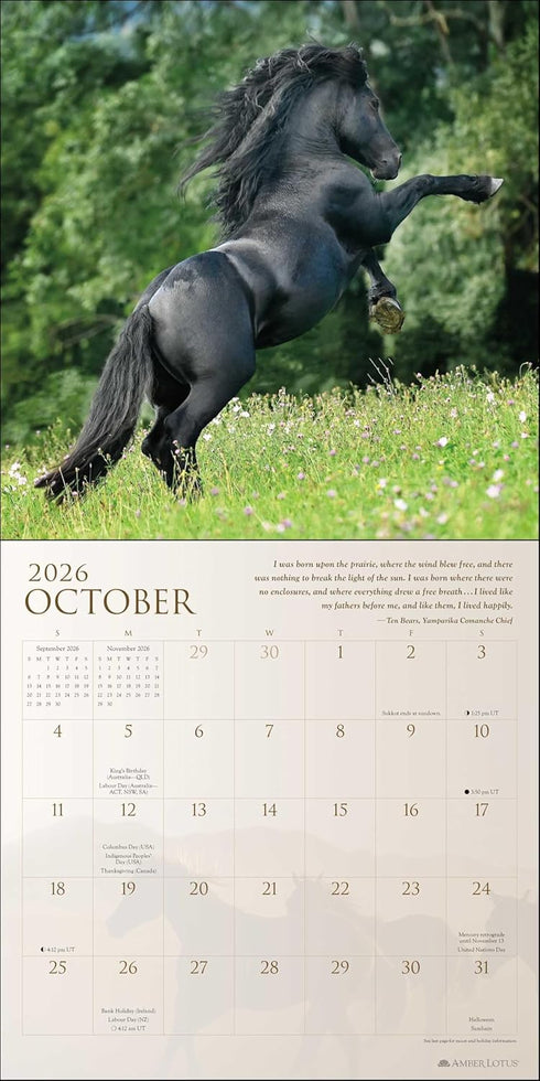 SPIRIT HORSES 2026 WALL CALENDAR BY TONY STROMBERG