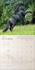 SPIRIT HORSES 2026 WALL CALENDAR BY TONY STROMBERG
