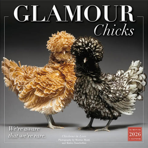 2026 GLAMOUR CHICKS 12X12 WALL CALENDAR