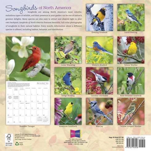 2026 SONGBIRDS OF NORTH AMERICA 12X12 WALL CALENDAR