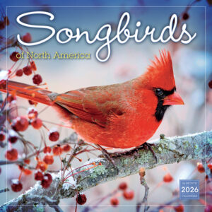 2026 SONGBIRDS OF NORTH AMERICA 12X12 WALL CALENDAR