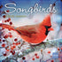 2026 SONGBIRDS OF NORTH AMERICA 12X12 WALL CALENDAR