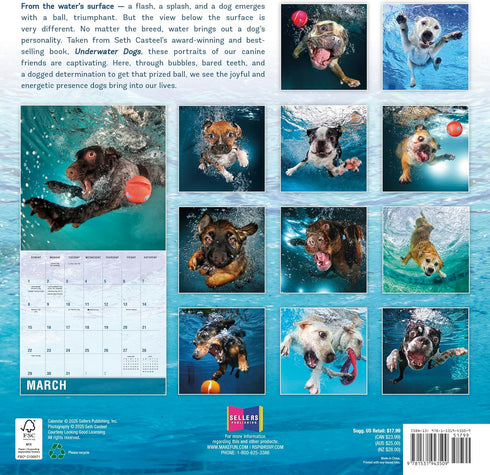 2026 UNDERWATER DOGS 12X12 WALL CALENDAR