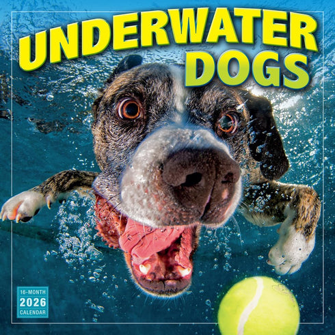 2026 UNDERWATER DOGS 12X12 WALL CALENDAR