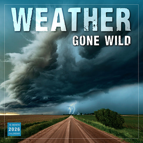 2026 WEATHER GONE WILD 12X12 WALL CALENDAR