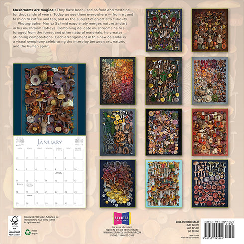 2026 MUSHROOMS: THE ART OF THE FUNGI 12X12 WALL CALENDAR