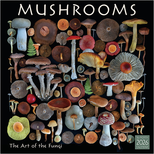 2026 MUSHROOMS: THE ART OF THE FUNGI 12X12 WALL CALENDAR