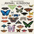2026 THE ILLUSTRATED ANIMAL KINGDOM 12X12 WALL CALENDAR - OSEID. KELSEY