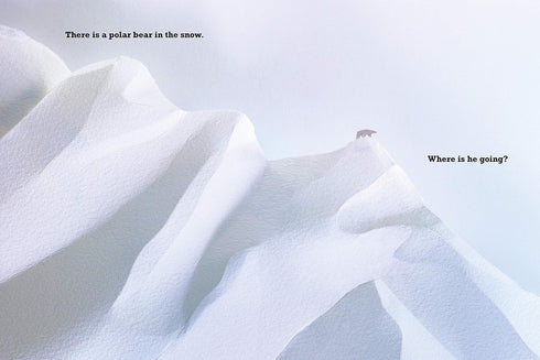 A POLAR BEAR IN THE SNOW - BARNETT. MAC; HARRIS. SHAWN