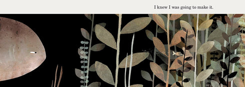 THIS IS NOT MY HAT - KLASSEN. JON