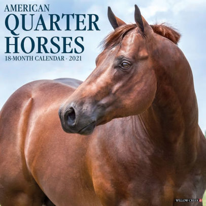 AMERICAN QUARTER HORSES 2021 WALL CALENDAR -