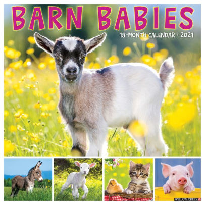 BARN BABIES 2021 WALL CALENDAR -