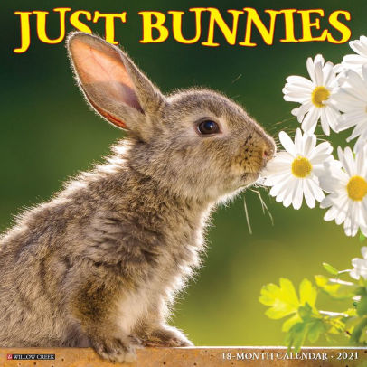 BUNNIES 2021 WALL CALENDAR -