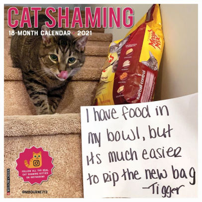 CAT SHAMING 2021 WALL CALENDAR -
