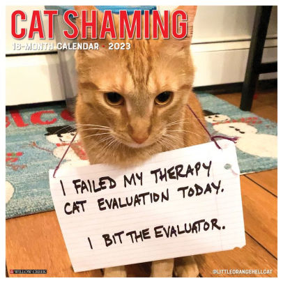 CAT SHAMING 2023 WALL CALENDAR - WILLOW CREEK PRESS