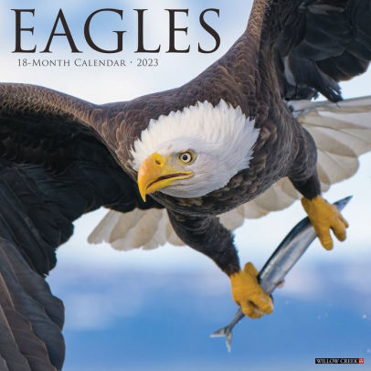 EAGLES 2023 WALL CALENDAR - WILLOW CREEK PRESS