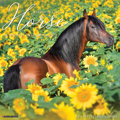 HAPPINESS IS A HORSE 2023 WALL CALENDAR - WILLOW CREEK PRESS
