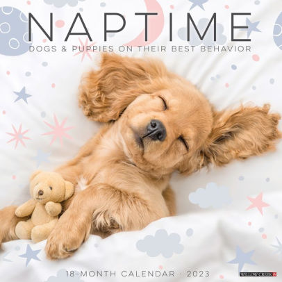 NAPTIME DOGS & PUPPIES 2023 WALL CALENDAR - WILLOW CREEK PRESS