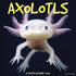 AXOLOTLS 2025 WALL CALENDAR - WILLOW CREEK PRESS