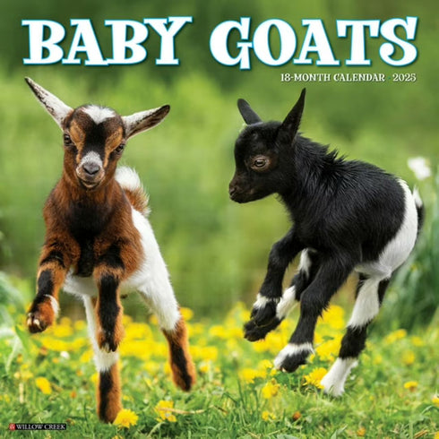 BABY GOATS 2025 WALL CALENDAR - WILLOW CREEK PRESS