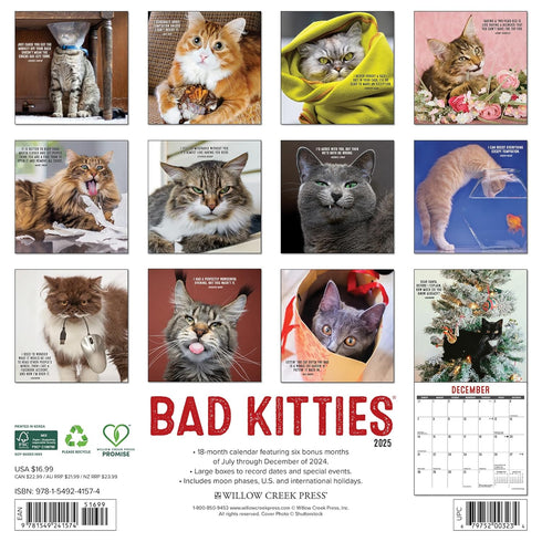 BAD KITTIES 2025 WALL CALENDAR - WILLOW CREEK PRESS