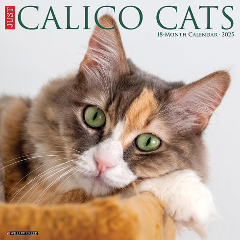 CALICO CATS 2025 WALL CALENDAR - WILLOW CREEK PRESS