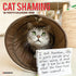 CAT SHAMING 2025 WALL CALENDAR - WILLOW CREEK PRESS
