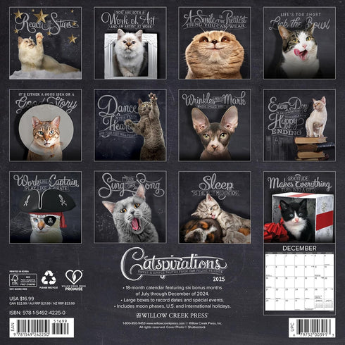 CATSPIRATIONS 2025 WALL CALENDAR - WILLOW CREEK PRESS